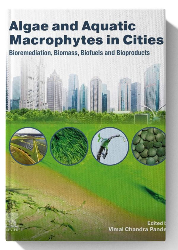 Algae and Aquatic Macrophytes in Cities: Bioremediation, Biomass, Biofuels and Bioproducts