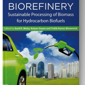 Hydrocarbon Biorefinery: Sustainable Processing of Biomass for Hydrocarbon Biofuels