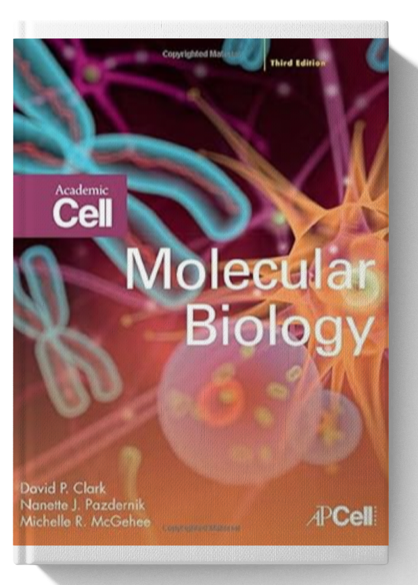 Molecular Biology 3rd Edition